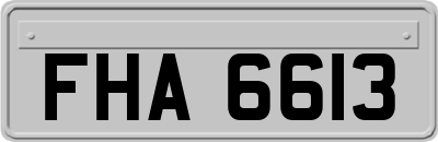 FHA6613