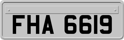 FHA6619