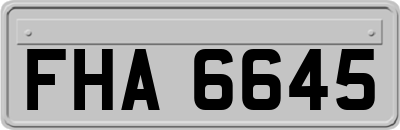 FHA6645