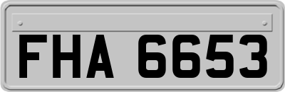 FHA6653