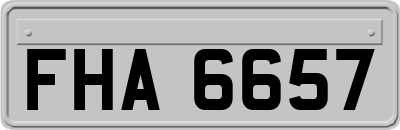 FHA6657