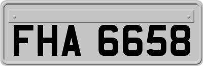 FHA6658