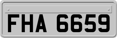 FHA6659