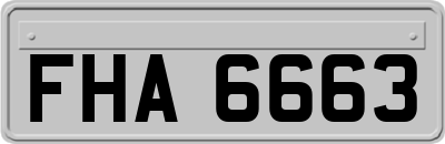 FHA6663