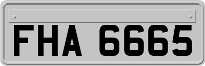 FHA6665