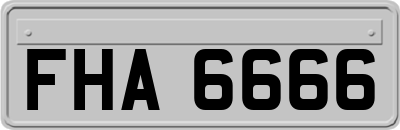 FHA6666
