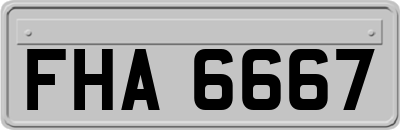 FHA6667