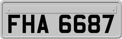 FHA6687