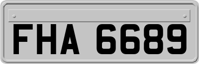 FHA6689