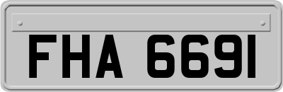 FHA6691