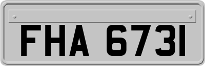 FHA6731