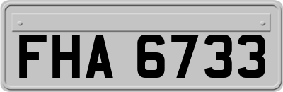 FHA6733