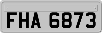 FHA6873