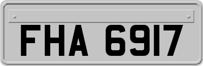 FHA6917