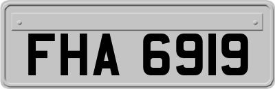 FHA6919
