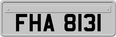 FHA8131