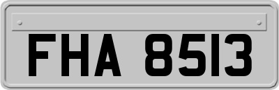 FHA8513