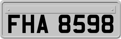 FHA8598