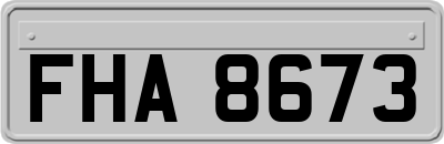 FHA8673