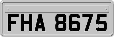 FHA8675