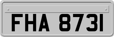FHA8731
