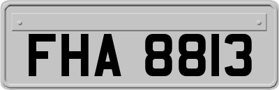 FHA8813