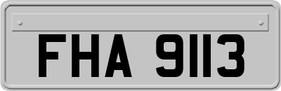 FHA9113