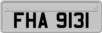 FHA9131