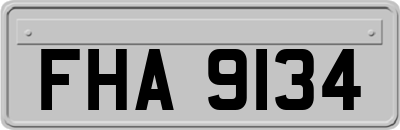 FHA9134