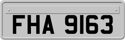 FHA9163