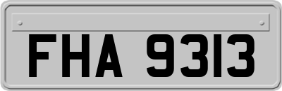 FHA9313