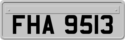 FHA9513