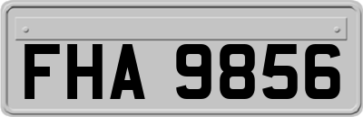 FHA9856