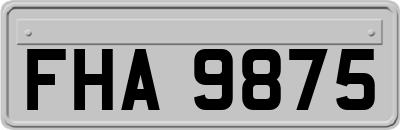 FHA9875