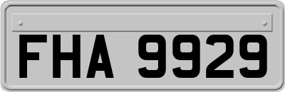 FHA9929