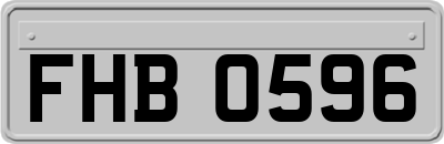 FHB0596