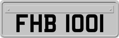 FHB1001