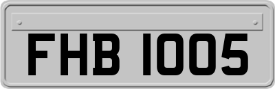 FHB1005