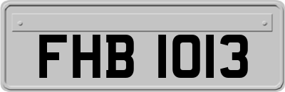 FHB1013