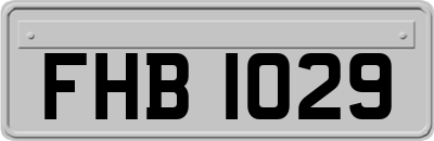 FHB1029