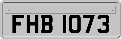 FHB1073