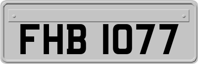 FHB1077