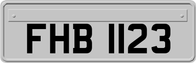 FHB1123