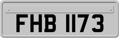 FHB1173