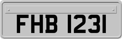 FHB1231