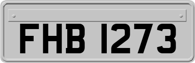 FHB1273
