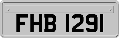 FHB1291