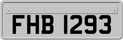 FHB1293