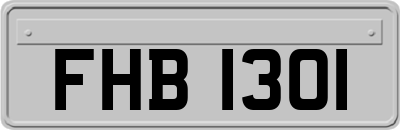 FHB1301