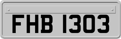 FHB1303